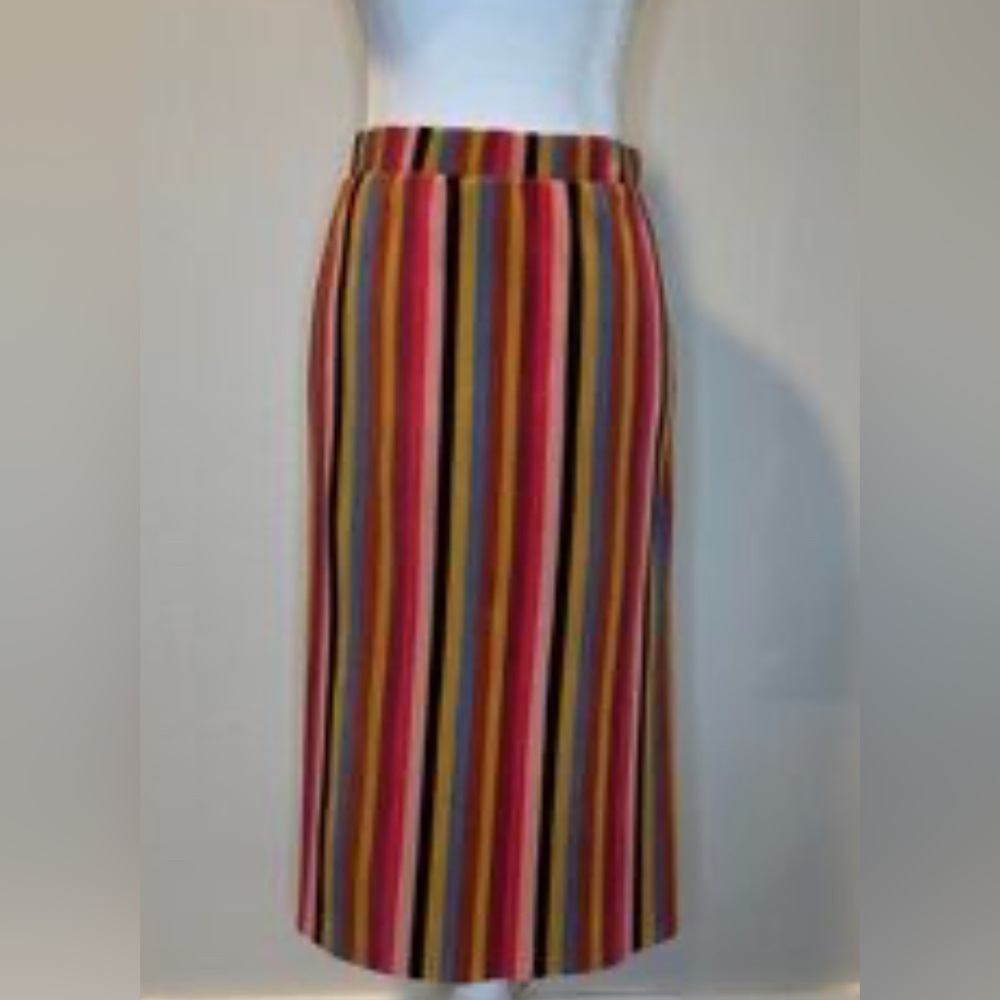 NWOT Striped Multicolor Maxi Skirt